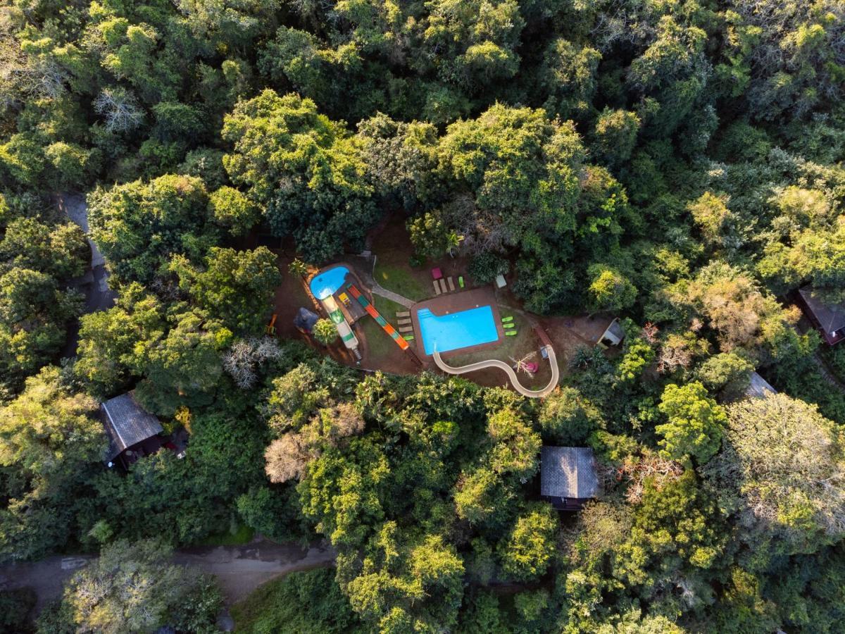 Mtunzini Forest Lodge Self Catering Resort Bagian luar foto