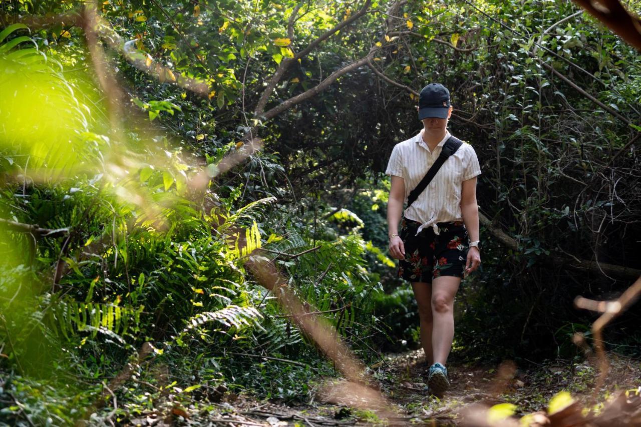 Mtunzini Forest Lodge Self Catering Resort Bagian luar foto