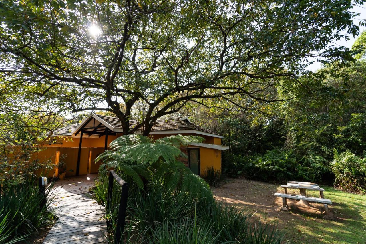 Mtunzini Forest Lodge Self Catering Resort Bagian luar foto