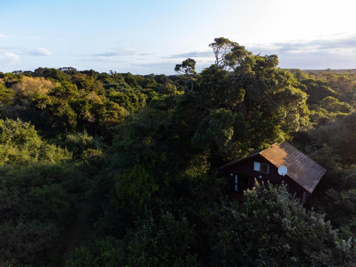 Mtunzini Forest Lodge Self Catering Resort Bagian luar foto