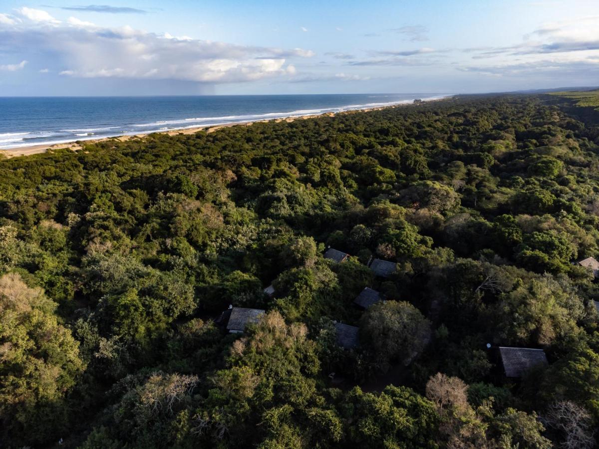 Mtunzini Forest Lodge Self Catering Resort Bagian luar foto