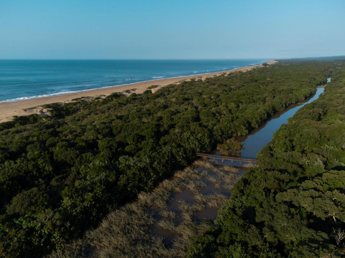 Mtunzini Forest Lodge Self Catering Resort Bagian luar foto