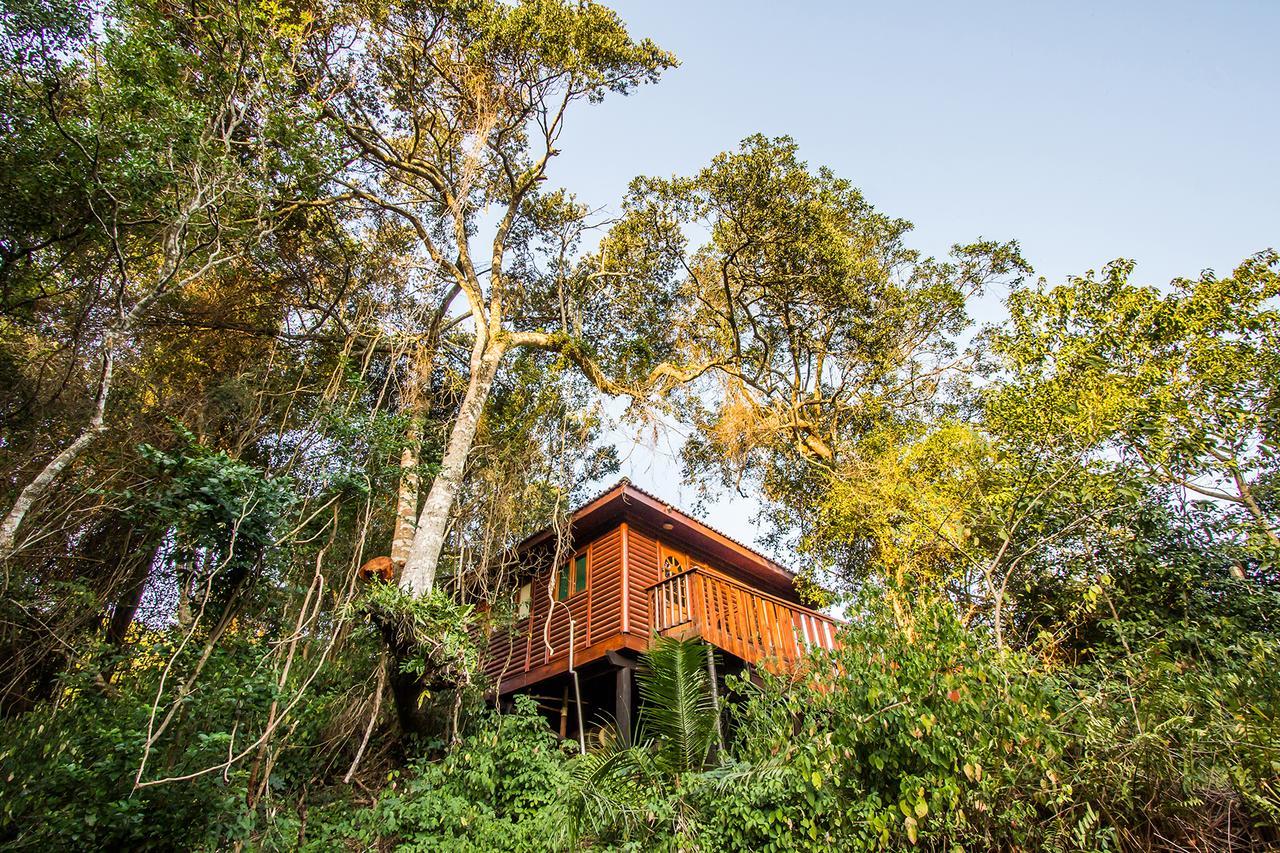 Mtunzini Forest Lodge Self Catering Resort Bagian luar foto